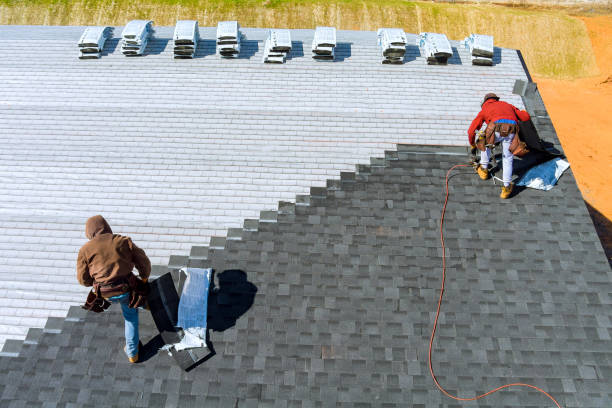 Best Gutter Installation and Roofing  in Rochelle, IL