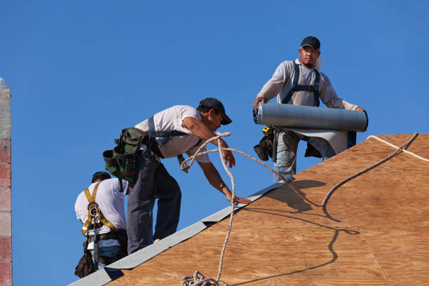 Best Roof Repair Services  in Rochelle, IL