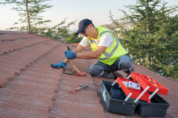 Best Roof Replacement Cost  in Rochelle, IL