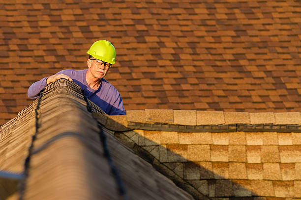 Best Commercial Roofing Services  in Rochelle, IL