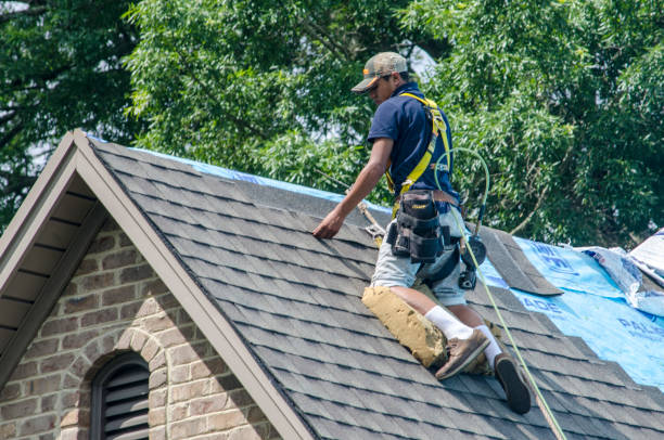 Best Commercial Roofing Services  in Rochelle, IL