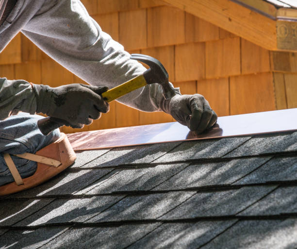 Best Metal Roofing Contractor  in Rochelle, IL